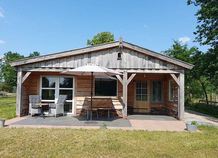 Huisje in Barchem met terras en uitzicht op paarden, vakantiehuis in Achterhoek, Gelderland.