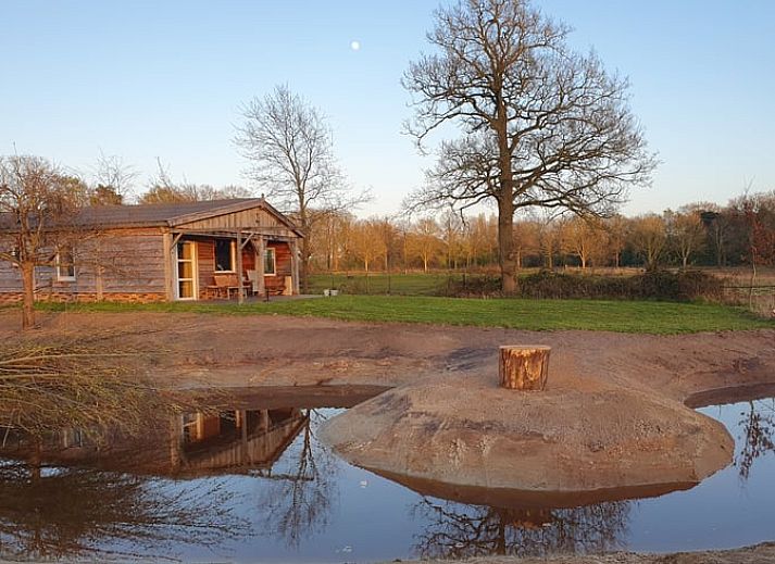 Huisje in Barchem met terras en uitzicht op paarden, vakantiehuis in Achterhoek, Gelderland.
