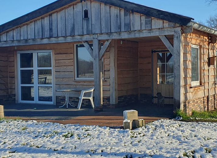 Huisje in Barchem met terras en uitzicht op paarden, vakantiehuis in Achterhoek, Gelderland.