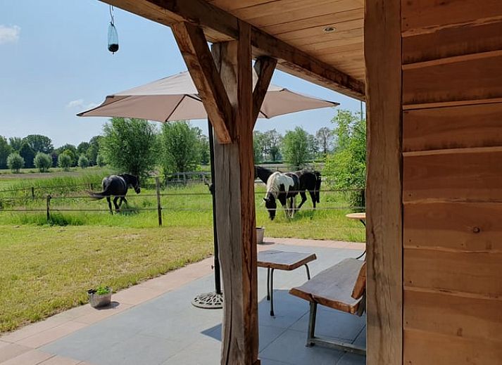 Natuurrijk uitzicht bij Huisje in Barchem, vakantieaccommodatie in Achterhoek, Gelderland.