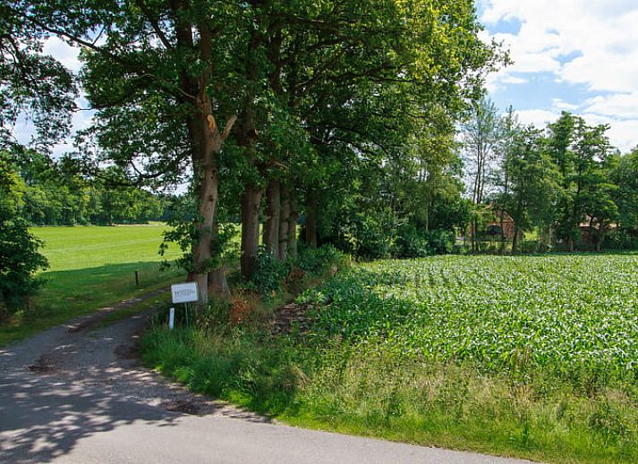 Unterkunft 290211 - Ferienhaus Achterhoek - Huisje in Barchem