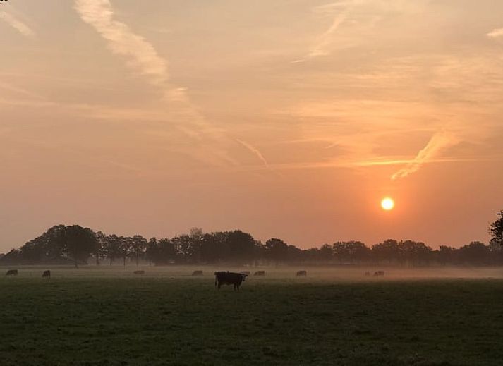 Unterkunft 290211 - Ferienhaus Achterhoek - Huisje in Barchem