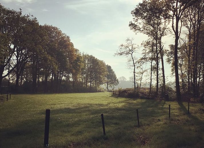 Unterkunft 290211 - Ferienhaus Achterhoek - Huisje in Barchem