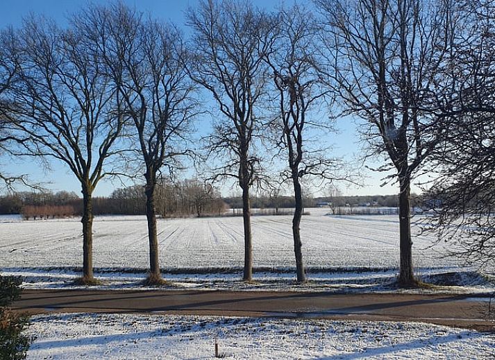 Guest house 290215 - Holiday property Achterhoek - Vakantiehuisje in Barchem