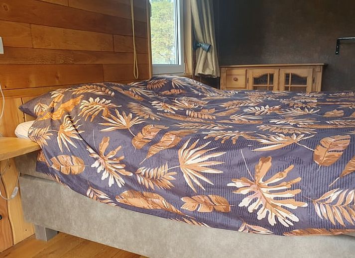 Guest house 290215 - Holiday property Achterhoek - Vakantiehuisje in Barchem