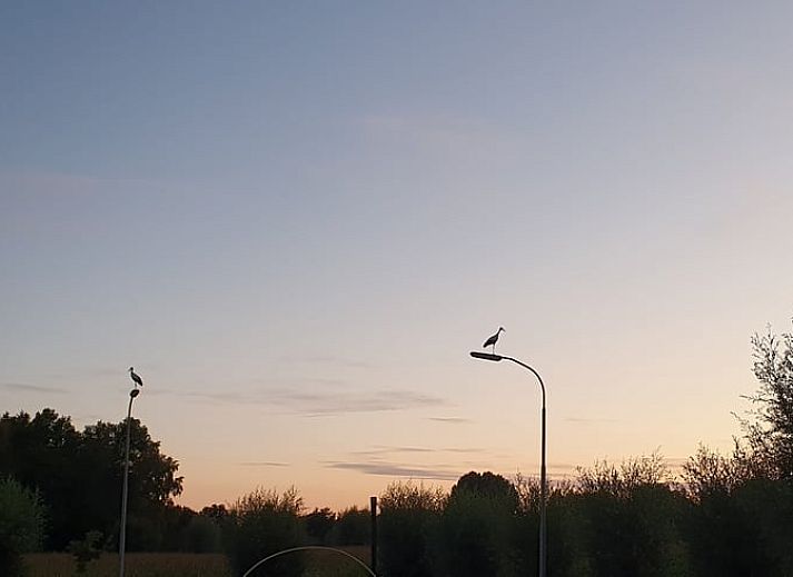 Guest house 290215 - Holiday property Achterhoek - Vakantiehuisje in Barchem