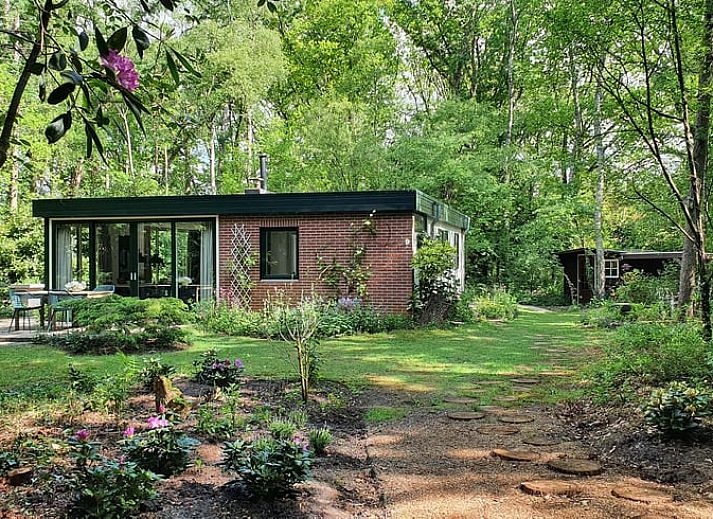 Buitenterras van Vakantiehuis in Barchem, Achterhoek, Gelderland, omgeven door groen voor ultieme ontspanning.