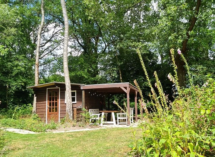 Buitenterras van Vakantiehuis in Barchem, Achterhoek, Gelderland, omgeven door groen voor ultieme ontspanning.