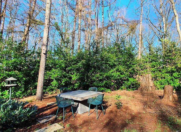 Buitenterras van Vakantiehuis in Barchem, Achterhoek, Gelderland, omgeven door groen voor ultieme ontspanning.