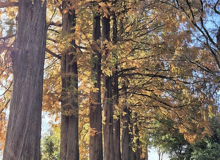 Sfeervolle slaapkamer van vakantiehuisje in Barchem met uitzicht op de groene omgeving in Gelderland.