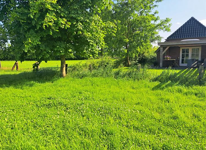 Unterkunft 290221 - Ferienhaus Achterhoek - Huisje in Barchem