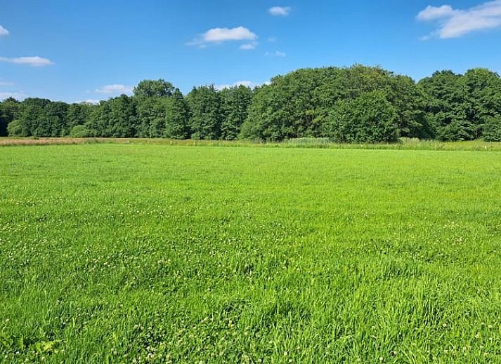 Unterkunft 290221 - Ferienhaus Achterhoek - Huisje in Barchem