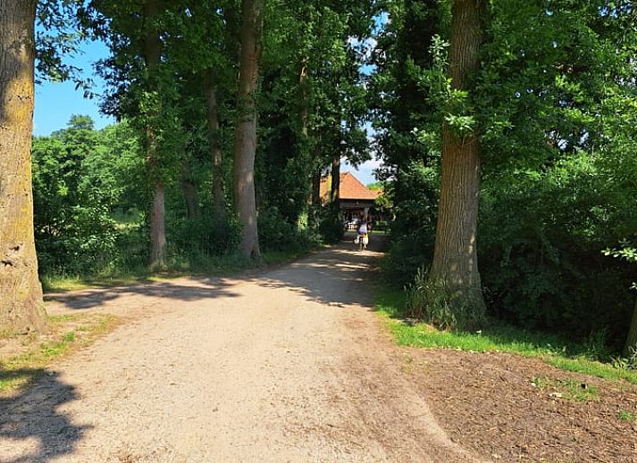 Unterkunft 290221 - Ferienhaus Achterhoek - Huisje in Barchem