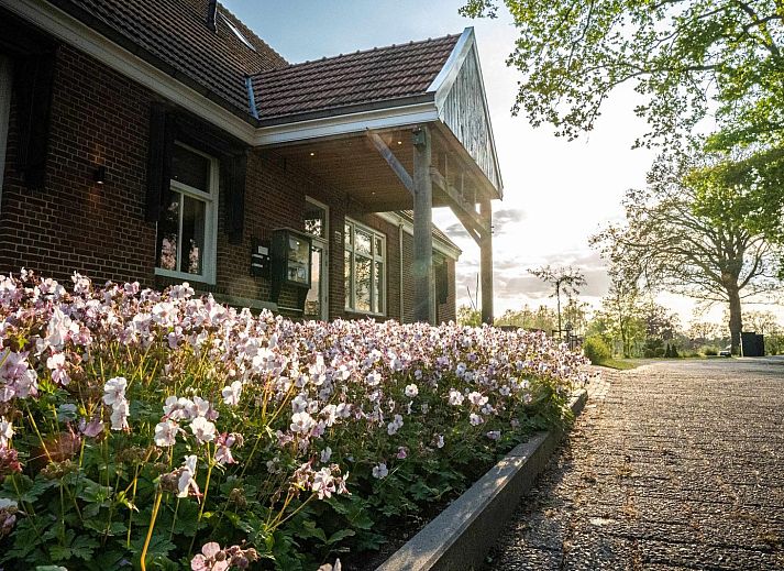 Zonovergoten woonkamer van Vakantievilla Amalia 4 in Kotten, met uitzicht op de natuur.