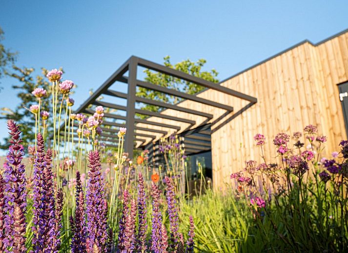 Stylish dining room in Holiday Villa Amalia 6 with sauna, located in Kotten, Achterhoek, Gelderland.