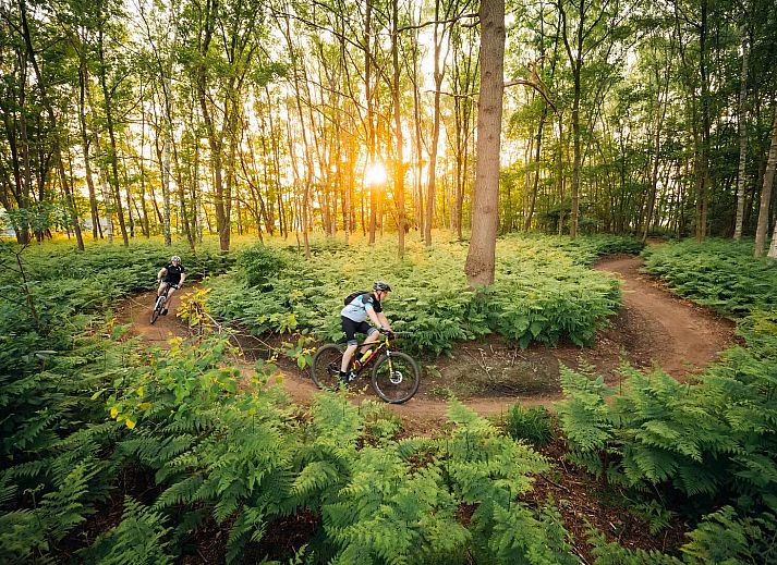 Veranda of Holiday Villa Amalia 2 Deluxe in Kotten, Achterhoek, with comfortable chairs and views of the forest.