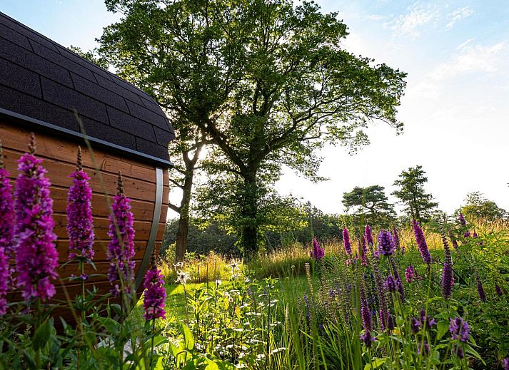 Veranda und gruene Umgebung in der Ferienvilla Amalia 4 Deluxe in Kotten, Achterhoek.