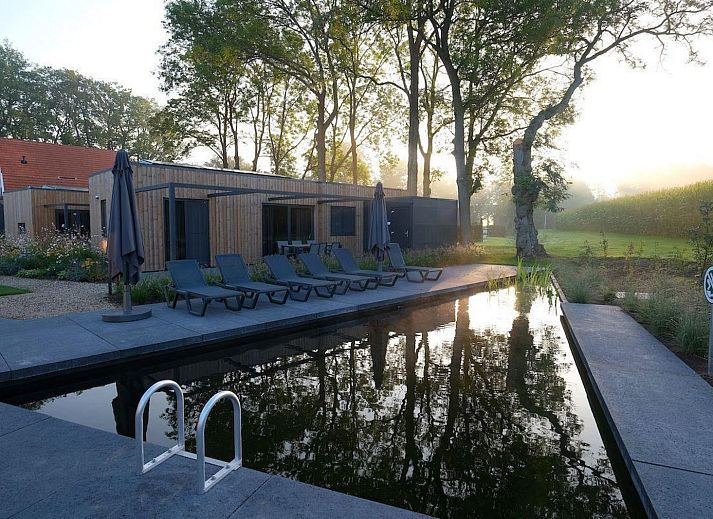 Amalia Familia Ferienhaus in Kotten mit Schwimmbad und Liegestuehlen, gelegen in Achterhoek, Gelderland.