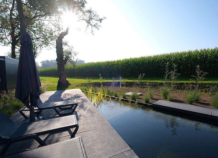 Gemuetliche Essecke im Ferienhaus Amalia Familia in Kotten, Achterhoek, mit bequemen Stuehlen.