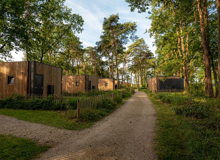 Guest house 290418 - Holiday property Achterhoek - Vakantievilla Boslodge 2 met sauna en hondenhek