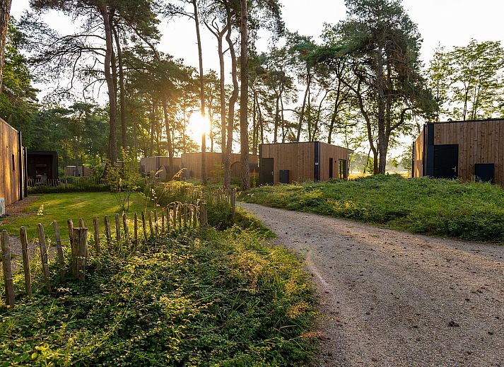 Enjoy the serene forest surroundings at Holiday Villa Boslodge 2 in Kotten, Achterhoek, an idyllic vacation home in Gelderland.