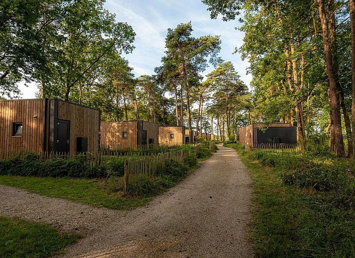 Enjoy the serene forest surroundings at Holiday Villa Boslodge 2 in Kotten, Achterhoek, an idyllic vacation home in Gelderland.