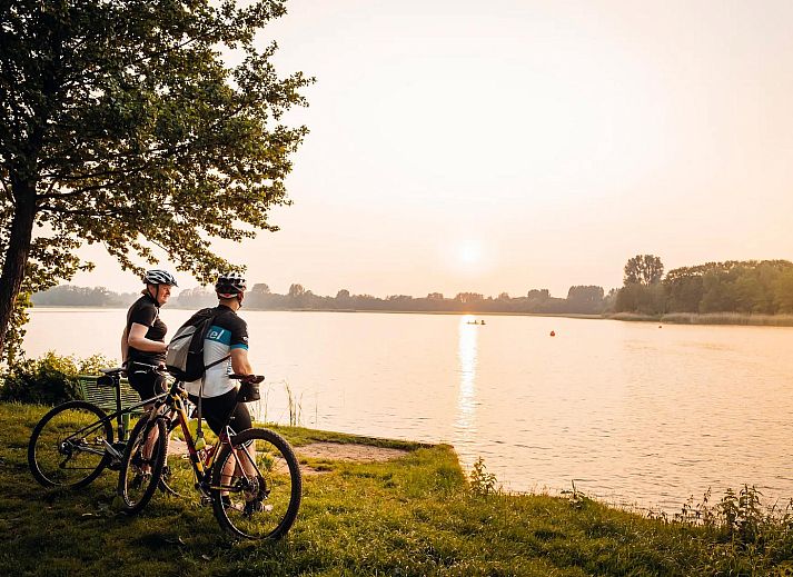 Geniessen Sie die ruhige Natur rund um die Ferienvilla Boslodge 2 mit Sauna in Kotten, Achterhoek, Gelderland mit schoenem Waldblick.
