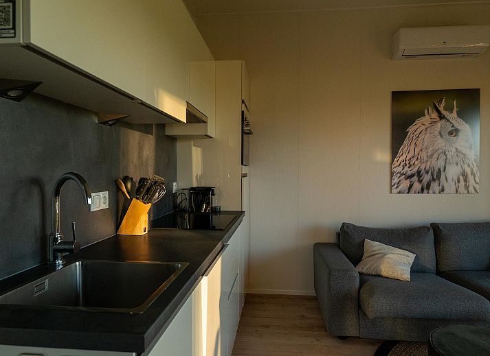 Geniet van de serene tuin en sauna bij Vakantievilla Boslodge 2 in Kotten, Achterhoek, omgeven door mistige natuur en rustgevend uitzicht.