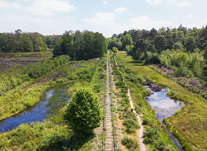 Wandelen in de natuur rondom Parklodge 6 in Kotten: genieten van de groene omgeving.