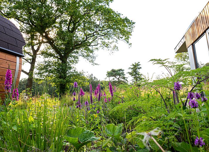 Unterkunft 290439 - Ferienhaus Achterhoek - Vakantievilla Amalia 2 + sauna