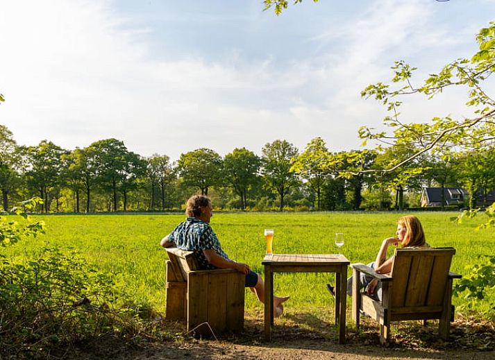 Schoene Aussicht auf gruene Felder vom Ferienhaus in Rekken, Achterhoek, Gelderland.