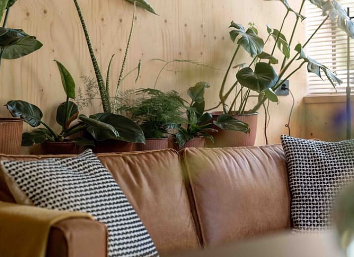 Unterkunft 290703 - Ferienhaus Achterhoek - Vakantiehuis in Halle
