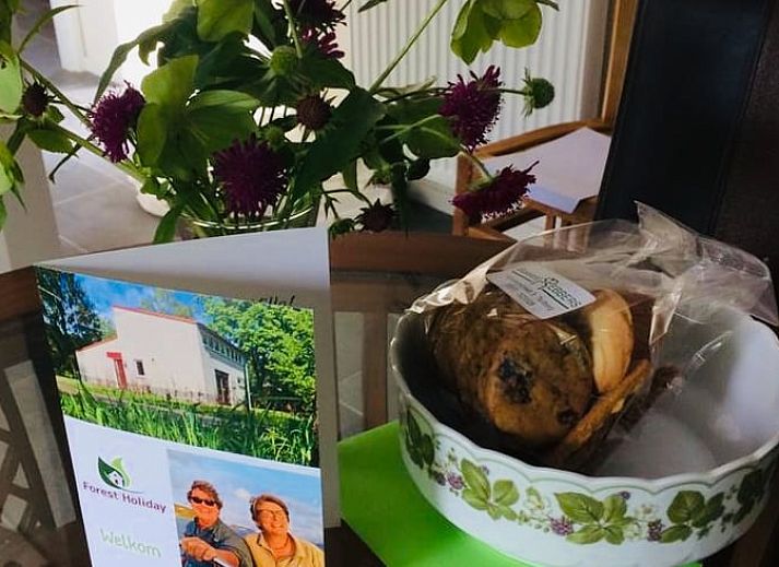 Unterkunft 290706 - Ferienhaus Achterhoek - Huisje in Halle