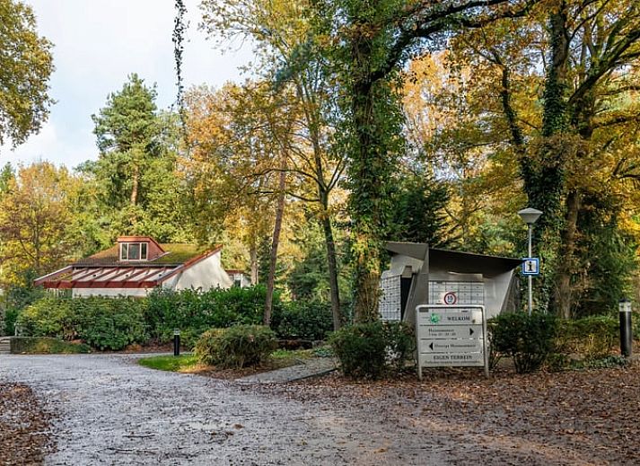 Unterkunft 290706 - Ferienhaus Achterhoek - Huisje in Halle
