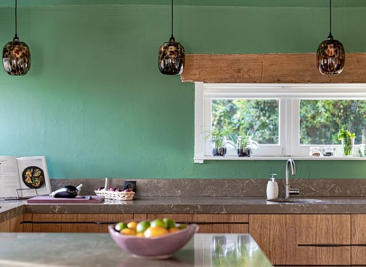 Charming holiday home Cottage in Halle, located in the green Achterhoek region of Gelderland, surrounded by nature and rustic charm.