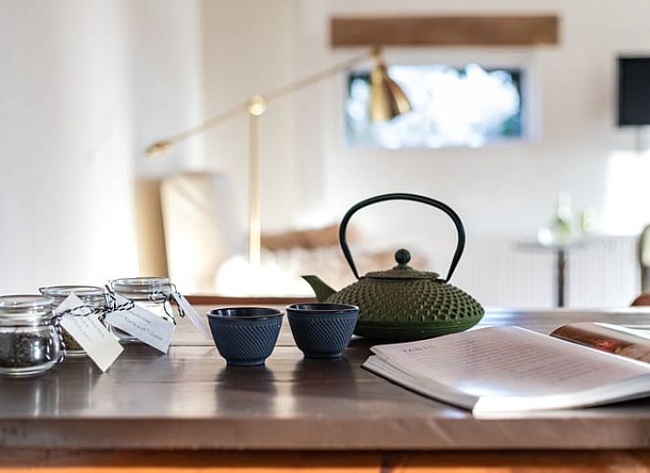 Modern kitchen in Huisje in Halle, vacation home in the Achterhoek region, Gelderland, with green walls and natural light.