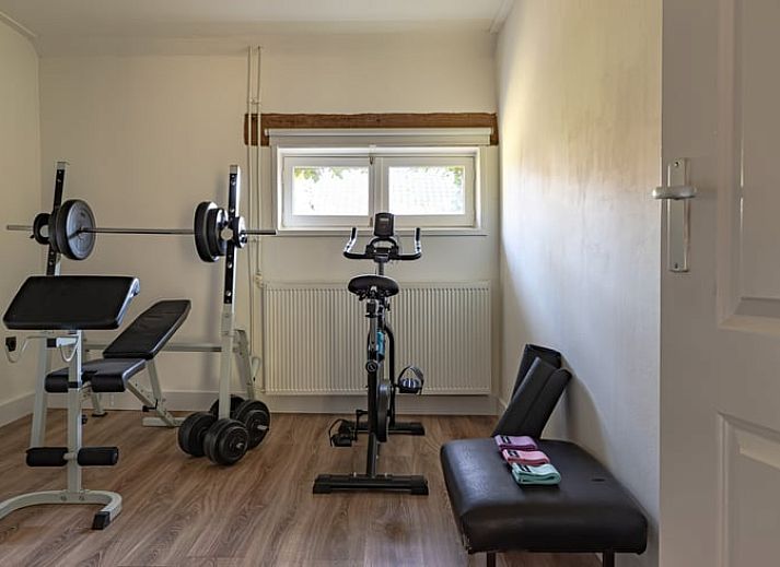 Modern kitchen in Huisje in Halle, vacation home in the Achterhoek region, Gelderland, with green walls and natural light.