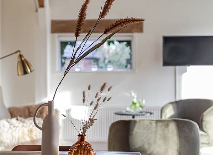 Fitness room in Huisje in Halle, a vacation home in the Achterhoek region of Gelderland, with modern equipment for an active vacation.