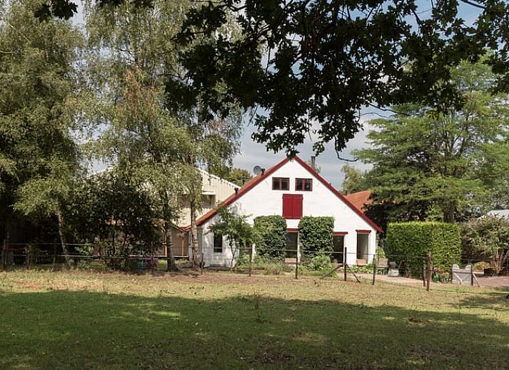 Cozy interior of cottage in Halle, Achterhoek, with tea set and book, ideal vacation home in Gelderland for relaxation.
