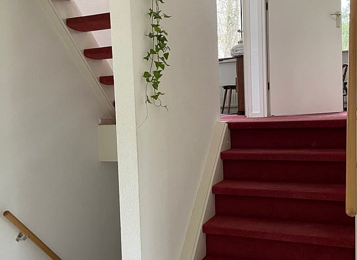 Guest house 290711 - Holiday property Achterhoek - Huisje in Halle