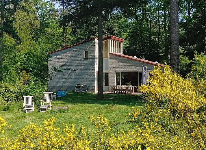 Unterkunft 290720 - Ferienhaus Achterhoek - Bosvilla Digitalis