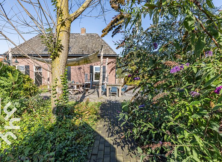 Vacation home DG303 in Halle, Achterhoek with spacious garden and green surroundings