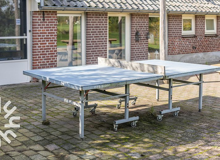 DG302 vakantiehuis in Halle, Achterhoek met ruime tuin en terras.