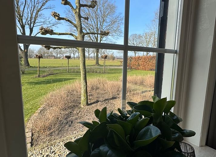 Unterkunft 290730 - Ferienhaus Achterhoek - Huisje in Halle