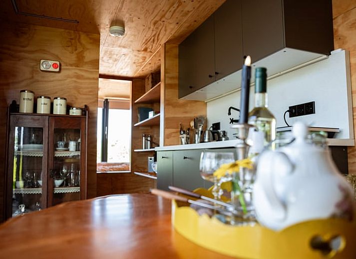 Ferienhaus in Halle, umgeben von Gaensebluemchen in Achterhoek, Gelderland.