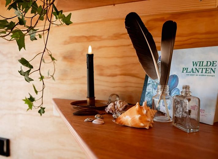 Gemuetliche Terrasse im Ferienhaus in Halle mit Blick auf die Natur in Gelderland.