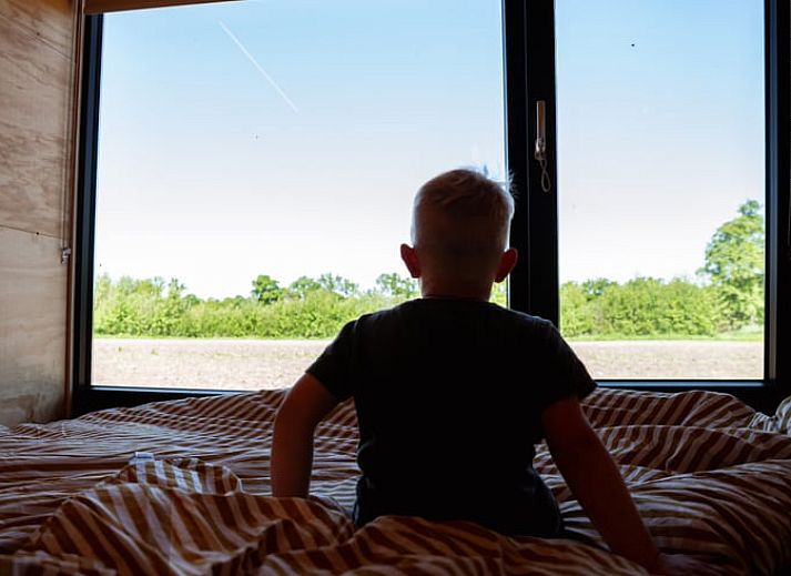 Gemuetliche Terrasse im Ferienhaus in Halle mit Blick auf die Natur in Gelderland.