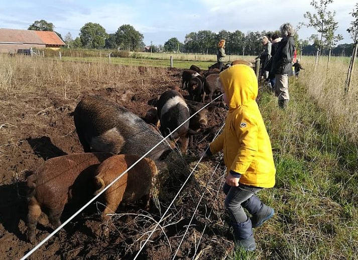 Kochen in der Kueche des Ferienhauses in Halle, eine einzigartige Erfahrung in Gelderland.