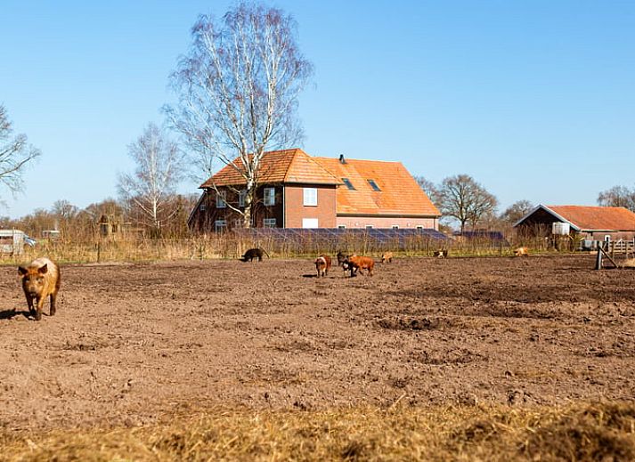 Kochen in der Kueche des Ferienhauses in Halle, eine einzigartige Erfahrung in Gelderland.