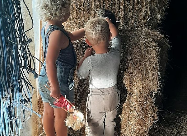 Kochen in der Kueche des Ferienhauses in Halle, eine einzigartige Erfahrung in Gelderland.